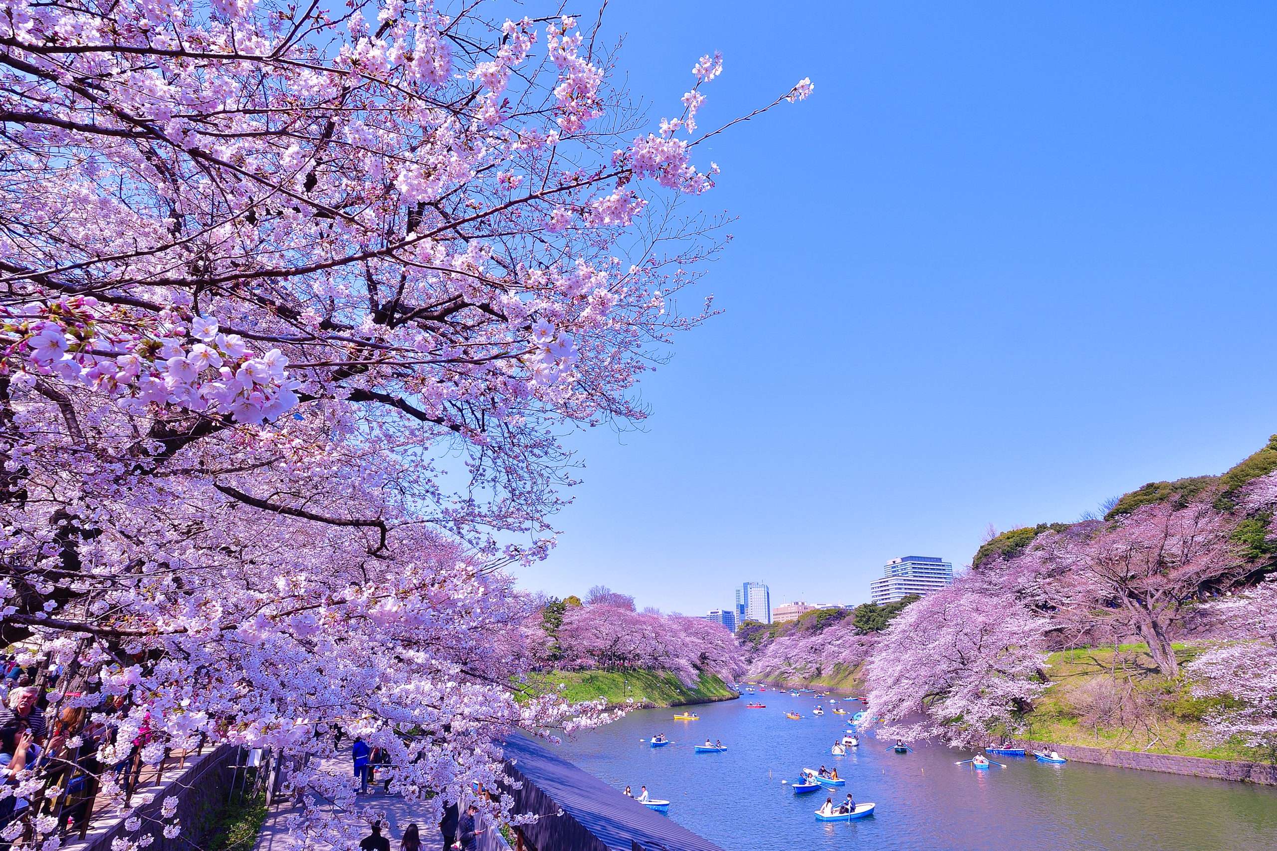 🌳 이즈미 시키부 공원(이즈미 시키부 코엔) 이미지 7